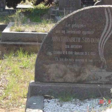 STRYDOM Anna Elizabeth nee  ANTHONY 1918-1953