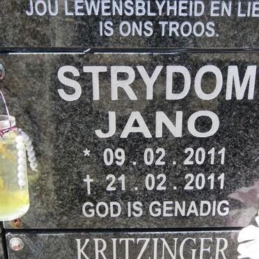 STRYDOM Jano 2011-2011
