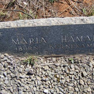 HAMANN Richard Otto 1889-1979 &amp; Maria KERNEKAMP 1889-1949