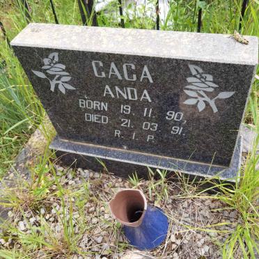 ANDA Gaca 1990-1991