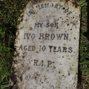 BROWN Ivo