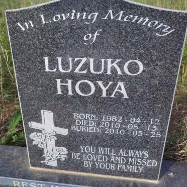 HOYA Luzuko 1982-2010