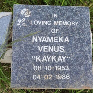 VENUS Nyameka 1953-1986