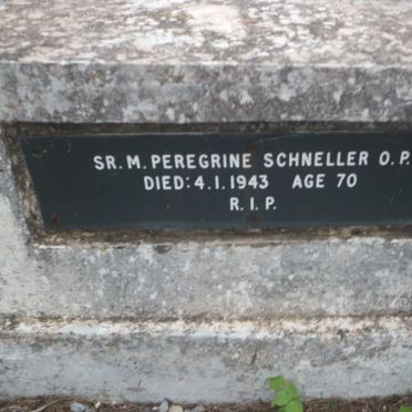 SCHNELLER Peregrine -1943