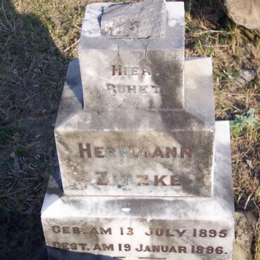 ZITZKE Herrmann 1895-1896