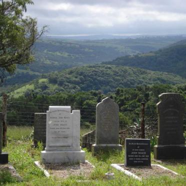 1. Overview