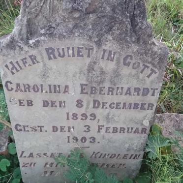 EBERHARDT Carolina 1899-1903