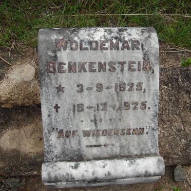 BENKENSTEIN Woldemar 1925-1925