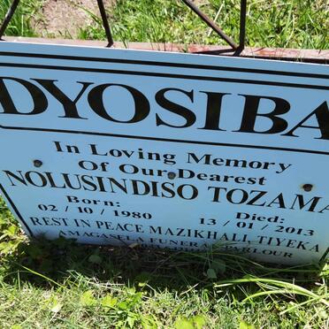 DYOSIBA Nolusindiso Tozama 1980-2013