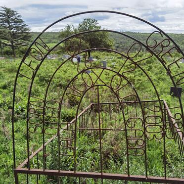 GREEN Leon 1985-2003