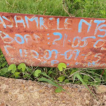 NTS? Ayamkele 2005-2005