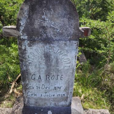 ROSE G.A. 1898-1929
