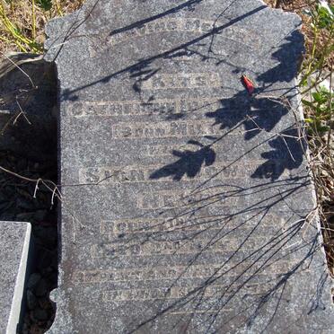 NEWEY Catherine Ida  nee MILLS 1897-1929