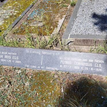 El - Surnames starting with the letters El 