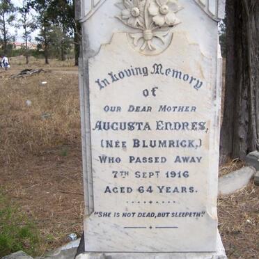 ENDRES George -1906 &amp; Augusta BLUMRICK -1916