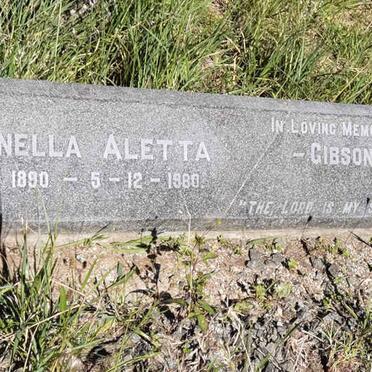 Gi - Surnames starting with the letters Gi 