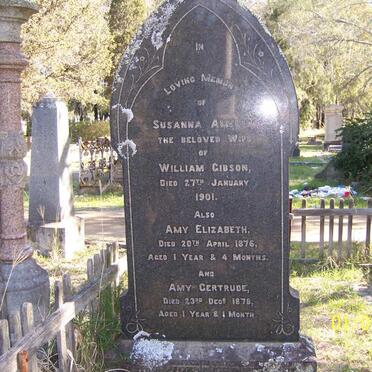 GIBSON Susanna Amelia -1901::  Amy Elizabeth -1876 :: Amy Gertrude -1878