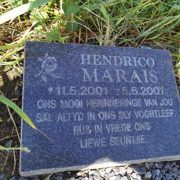 MARAIS Hendrico 2001-2001