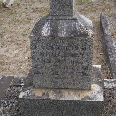 McGILLEWIE Alfred Ernest 1861-1938 &amp; Elizabeth Stuart 1862-1925