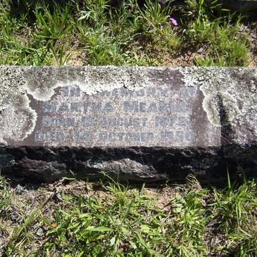 MEAKIN Martha 1872-1950
