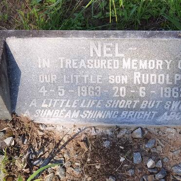 Ne - Surnames starting with the letters Ne