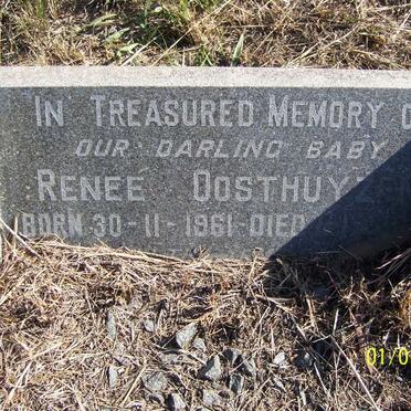 OOSTHUYZEN Renee 1961-