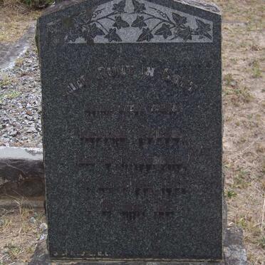 PELTZ Helene nee STRASSBURG 1861-1923