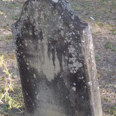 Pf - Surnames starting with the letters Pf