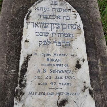 SCHWARTZ Norah -1924