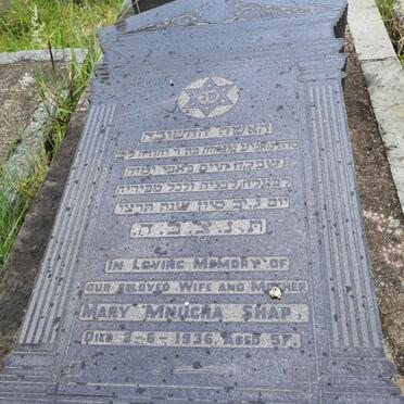 SHAP Mary Mnucha -1936