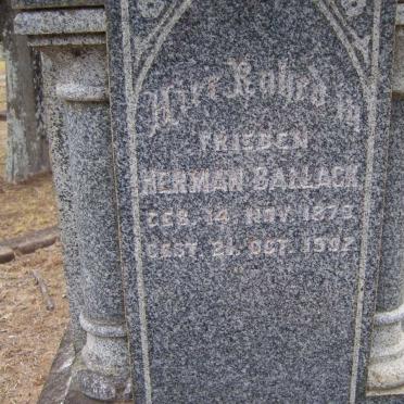 BALLACK Herman 1879-1902