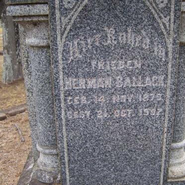 BALLACK Herman 1879-1902