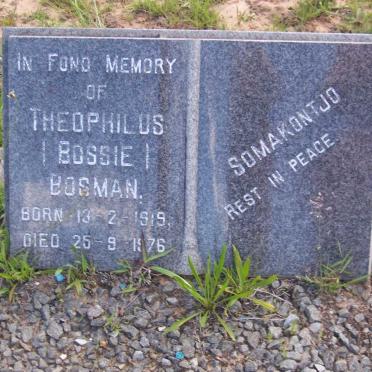BOSMAN Theophilus 1919-1976