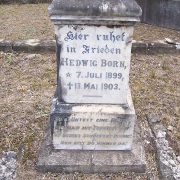 BORN Hedwig 1899-1903