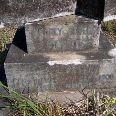 BROOKS 1904-1904