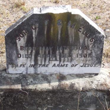 ELLIS Son 1900-1901