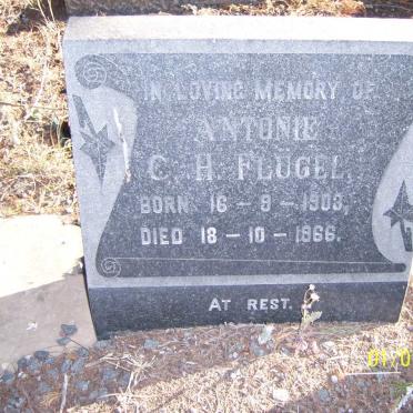 FLUGEL Antonie C.H. 1903-1966