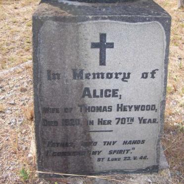 HEYWOOD Alice -1920