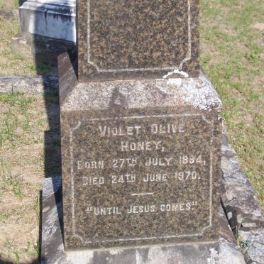 HONEY Violet Olive 1894-1970