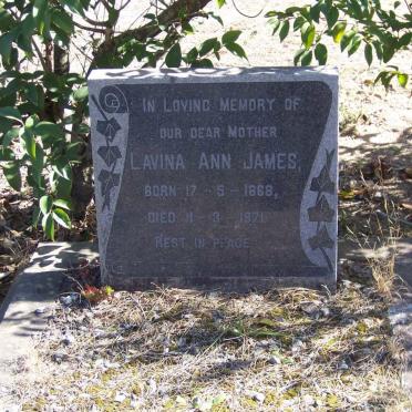 JAMES Lavina Ann 1868-1971