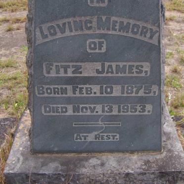 JAMES Fitz 1875-1953