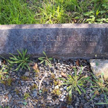 JOHNSON Mabel Elliott 1876-1968