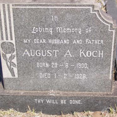 KOCH August A. 1900-1928