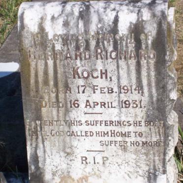 KOCH Bernard Richard 1914-1931
