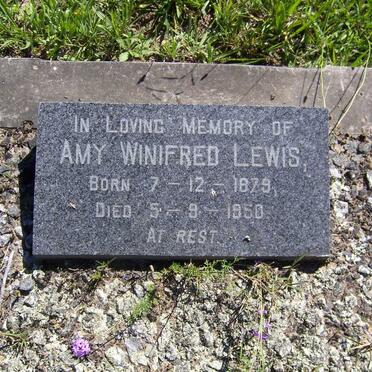 LEWIS Amy Winifred 1879-1950