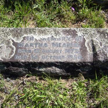 MEAKIN Martha 1872-1950