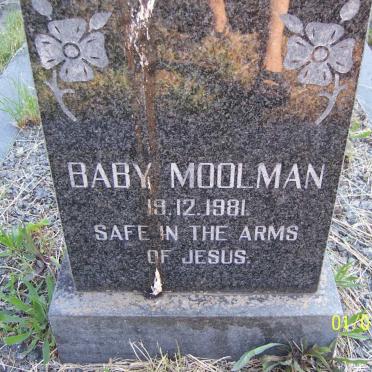 MOOLMAN -1981
