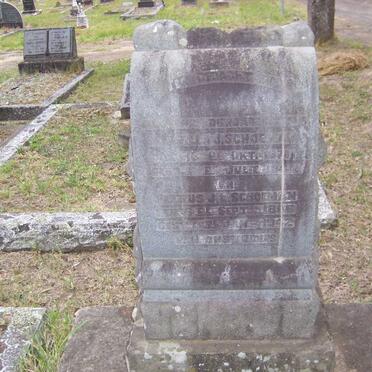 SCHOEMAN Petrus J.L. 1866-1942 :: ? -187?-19??