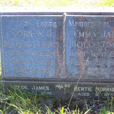 TIMMS John W.H. -1964 &amp; Emma Jane  -1953 :: TIMMS Cecil James :: TIMMS Bertie Morisson