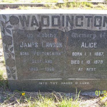 WADDINGTON James Lawson 1880-1966 &amp; Alice 1887-1979